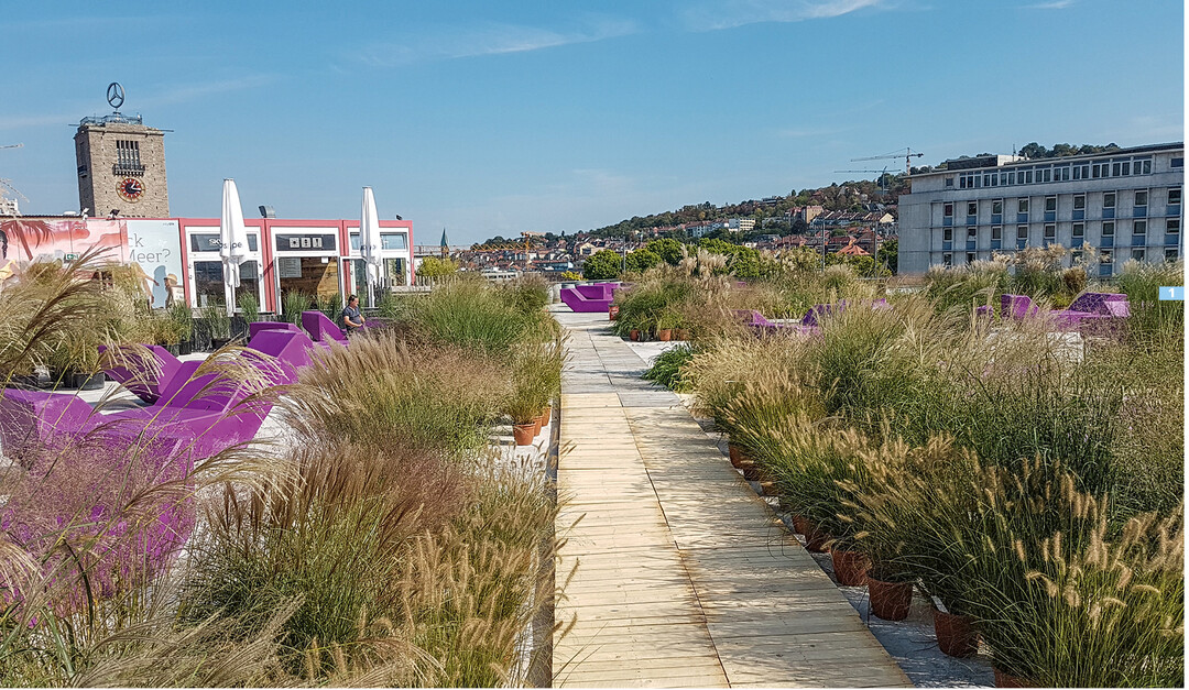 Statt aufgeheizter Parkdeckflche ist das Kaufhof-Parkdeck jetzt ein Sky Beach".