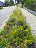 Für den Substrattest wurde ein Straßenrandstreifen im fränkischen Sommerach genutzt. Die abgebildete Parzelle 8 (Corthum) schnitt dabei gut ab.