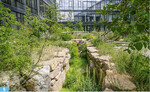 Im Innenhof des Neubaus von Kärcher in Winnenden hat Maria Stark einen Naturgarten für die Mitarbeiter gebaut.