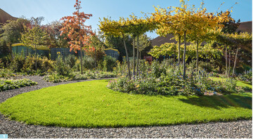 Drei Monate nach der Pflanzung (siehe Bild 2) bietet sich ein ansprechendes Bild. Kurzlebige Arten sorgen fr einen fulminanten Start und begleiten die sich langsam entwickelnden Stauden.
