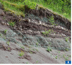 Geländeanschnitte an der Grundstücksgrenze sind wertvolle Biotope.