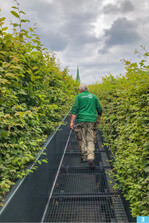 Sogenannte Catwalks sichern die Zugänglichkeit der Schrägfassaden.