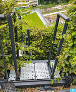 Sämtliche Dachflächen sind über Treppen und Wartungsgänge zugänglich.