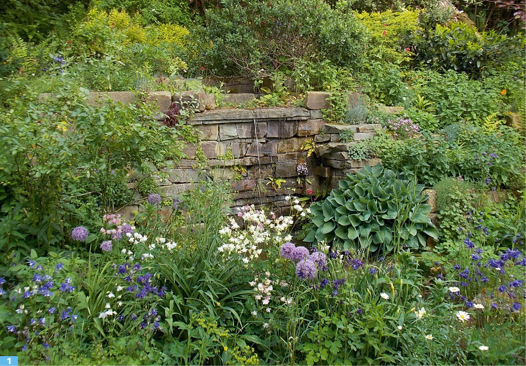 Wasserfallmauer mit Hirschzungenfarnen und einer ppigen <em>Hosta </em> <em>sieboldiana </em>