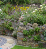 Geschwungene „Denderamauer" mit <em>Origanum </em>und <em>Campanula </em>