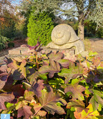 ... bieten sich überall im Garten Blickpunkte ...