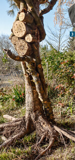 Jede Totholzskulptur ist ein Unikat. Die Wurzelstöcke können zum Beispiel mit Stahlkrampen verankert werden.