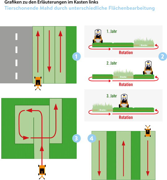 Tierschonende Mahd durch unterschiedliche Flächenbearbeitung