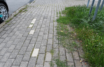 Schlechter baulicher Zustand gepaart mit geringer Benutzerfrequenz frdern das Wachstum von Unkraut. Hier kann man vorbeugen.