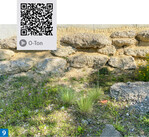 Sandarium für bodenbrütende Wildbienen, Radiospott bei Trausnitz (QR-Code)