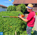 wird von einem jungen Mann gepflegt, der mit Lern-Handicap bei Widl seine Chance bekommen hat.