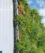 Was aussieht wie ein falsch montiertes Foto, ist nur ein kleiner Ausschnitt einer neu geformten Landschaft in der Vertikalen.