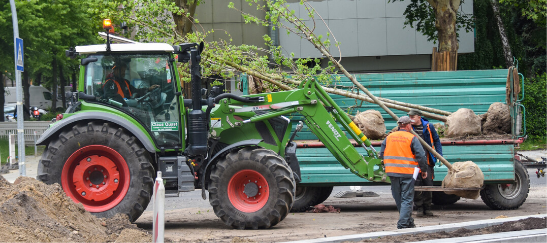 Beim Umgang mit dem lebenden Produkt Pflanze kann viel schiefgehen. Ein gutes Handling (hier bei Quast in Hamburg) ist das A und O.