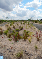 Estrichsand, 0/8 als Mulch/Substrat bei Till Hofmann (s. S. 54 ff)