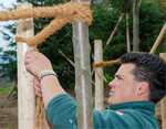 Das richtige Anbinden gehört zur Vollendung der Gehölzpflanzung.