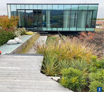 Die Dachterrasse nennt Kramer ein gutes Verkaufstool – weil sich dort zeigen lässt, wie Aufenthaltsqualität entsteht.