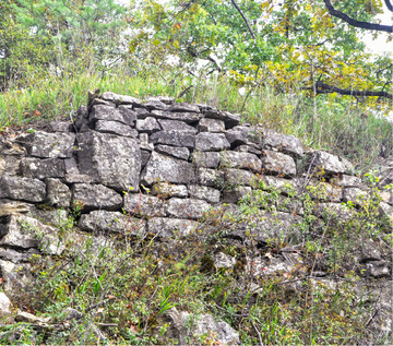 Sanierungsbedrftige Mauer in der Weinlage Sommerstuhl mit groem kologischen Wert