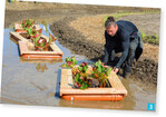 Für die schwimmenden Beete – ein Projekt mit der Uni Lüneburg – war das Wetter dagegen kein Problem.