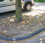 Bäume durchwurzeln teilweise 300 m³ Boden und mehr. Viele innerstädtische Standorte sind dafür denkbar schlecht geeignet.