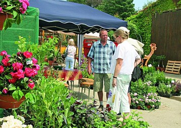 Nhe zum Markt: Besucher schtzen das regionale Flair