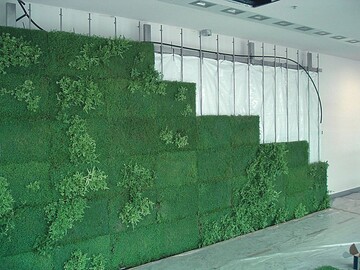 Nur anbringen und sofort grn  die „Grne Wand“ whrend des Aufbaus
