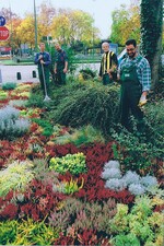 Friedhofsgärtner bei der Arbeit im Eingangsbereich