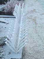 Wie an vielen öffentlichen Gebäuden werden vorzugsweise große, breite und schwarze Grabzeichen mit Drahtspitzen versehen, um Tauben zu vertreiben. Die Breitwandsteine scheinen die ungebetenen Gäste förmlich einzuladen Jam