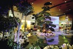 Schönster „Indoor-Garten“: Japanischer Licht-und Klanggarten von Scenario Licht-und Klangkonzepte
