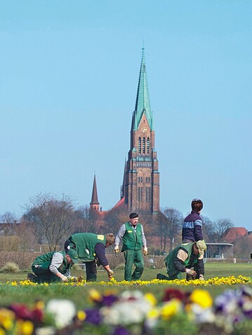 Landschaftsgrtner gewinnen als Experten an Bedeutung, wie hier bei den letzten Handgriffen auf der Landesgartenschau in Schleswig Bild: Laga Schleswig-Schleiregion