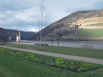Das Ausstellungsgelnde der dritten rheinland-pflzischen Landesgartenschau liegt direkt am Ufer des Rheins