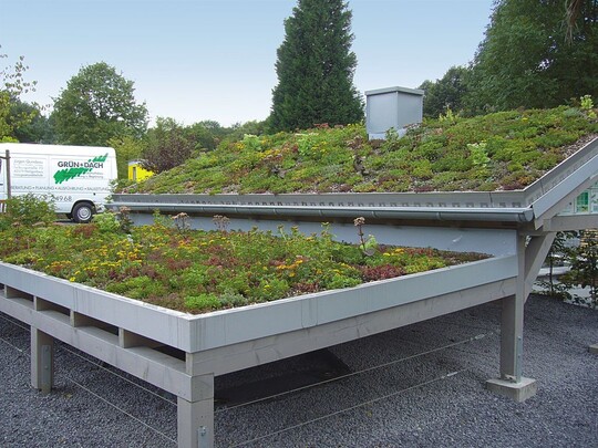 Gründachwerbung in der Mustergartenanlage des Gruga-Parks: 1:1-Modell in Augenhöhe