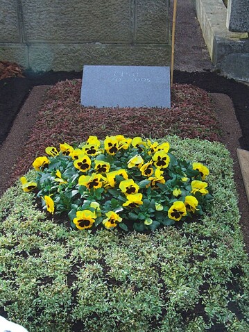 Das Siegergrab mit Euonymus und Cotula als Bodendecker, gestaltet als klassischer Hgel