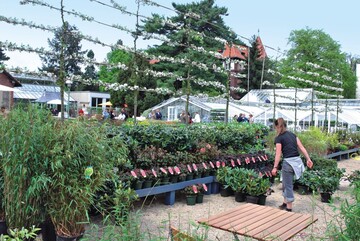 Englische Gartenkultur in Berlin-Dahlem: Frisch erffnete Knigliche Gartenakademie