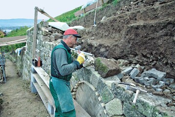 Jeder Stein wird neu bearbeitet:
Bcheler beim Wiederaufbau
einer alten Weinbergsmauer