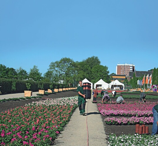 Arbeiten an den Wechselflorflchen auf der Laga in Schleswig