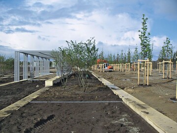 Groprojekt in Kiel  der Carlebachpark