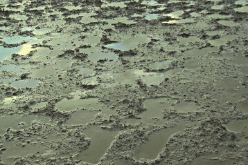 Typischer Schaden: Starke Vernssung der Tretschicht durch mangelnde Wasserabfhrung