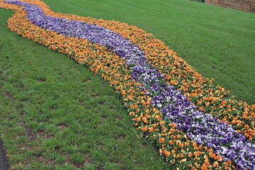 ... symbolisch im Blumenbeet