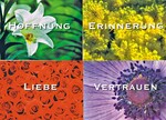 Postkarten mit verschiedenen Motiven von der FGG