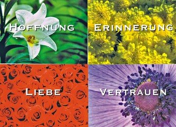 Postkarten mit verschiedenen Motiven von der FGG