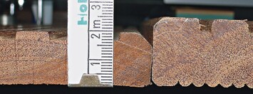 Dielen unter 20mm (links) sind fr ein fachgerechtes Bauwerk nicht geeignet