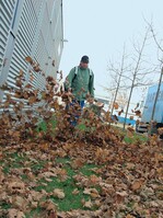 Herbstlicher Tornado: Echo motorisiert seine Laubbläser mit lungenstarken und optimierten 2-Takt-Aggregaten