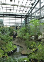 Die Pflanzen sind in den Neubau umgezogen und müssen nun gepflanzt werden