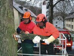 Nur unter bestimmten Voraussetzungen darf auch zu zweit mit der Motorsäge im Hubkorb gearbeitet werden