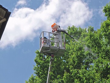 Besonders effizient: Der Sprhnebel treibt durch die Baumkrone 