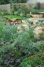 Ein mediterran wirkender Plattenbelag verlangte in dem von Norbert Mückschel auf den folgenden Seiten beschriebenen Wohngarten auch eine entsprechende Bepflanzung – in Silber, Blau und Orange