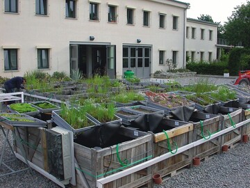 Mit einer groen Versuchsanlage testet die FH Abhalt mgliche Filtersubstrate