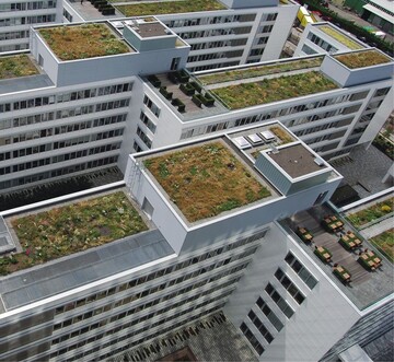 1 Die verschiedenen Bauteile wurden unterschiedlich begrnt  jeweils mit Sedum-Sprossen, Flachballenstauden oder Vegetationsmatten 