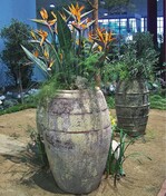 Ein Hauch Italien: Tongefäße, Olivenbäume und Strelitzien symbolisierten Goethes Italienreisen