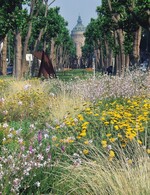 So schön können Stauden im öffentlichen Grün sein: Augusta-Anlage in Mannheim...